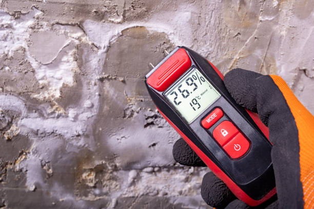 Best HVAC Mold Remediation in Flint Hill, MO
